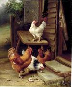 unknow artist Cocks 123 china oil painting reproduction